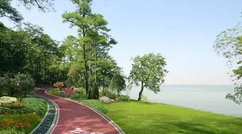 天热了，再不减肥就晚啦！武汉最适合跑步的绿色跑道，看看你家门口有没有