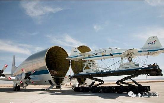 变异变形飞机,变异飞机鹦鹉