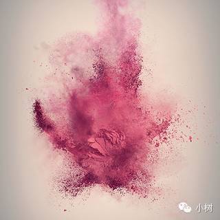 Tree.202|“抑郁”吗？！