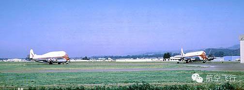 变异变形飞机,变异飞机鹦鹉