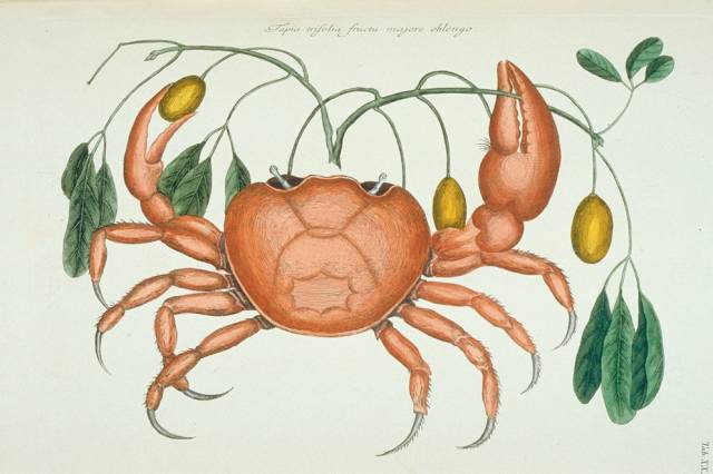 自然好书100本排行榜,自然好书