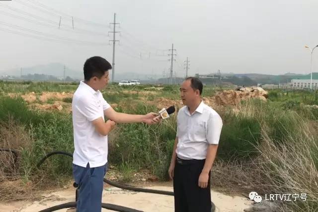 三个推进”辽宁行｜营口这里的企业只需“动嘴”干部帮忙“跑腿”