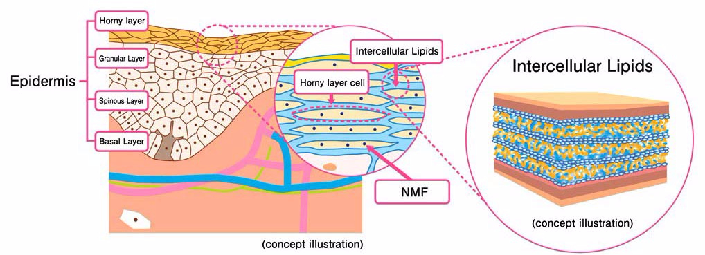 毛孔粗大怎么拯救,十滴水拯救粗大毛孔