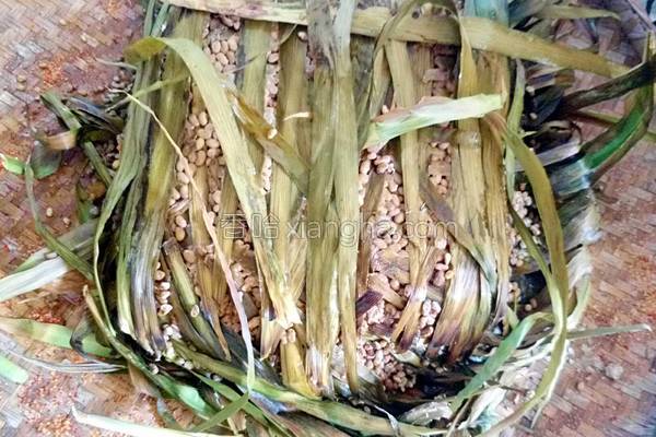 在家自做豆豉方法教程,怎样在家自制豆豉