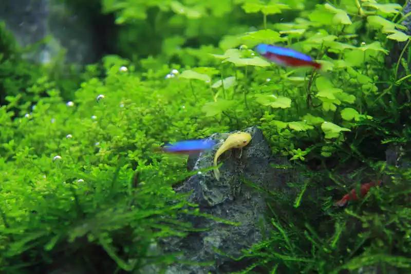 旅游时看到山川河流的感悟,旅游途中看到的景物