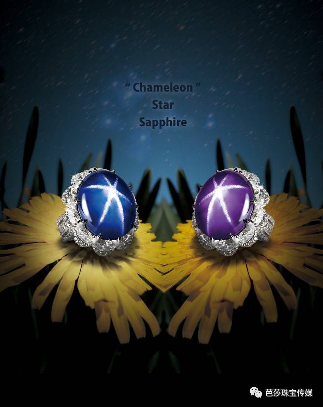 世界最大黑色星光蓝宝石多少钱,世界最顶级的星光蓝宝石