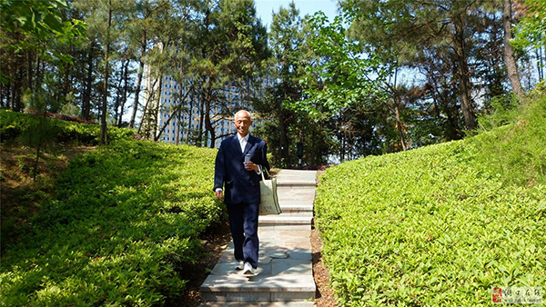 设计师测试题分析,100个设计问题