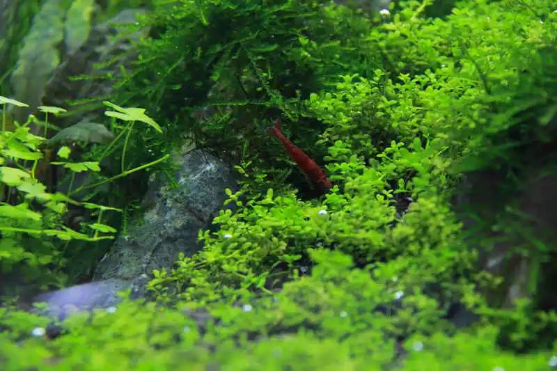 旅游时看到山川河流的感悟,旅游途中看到的景物