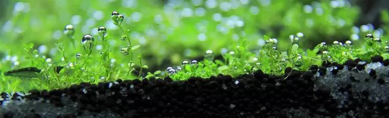 旅游时看到山川河流的感悟,旅游途中看到的景物