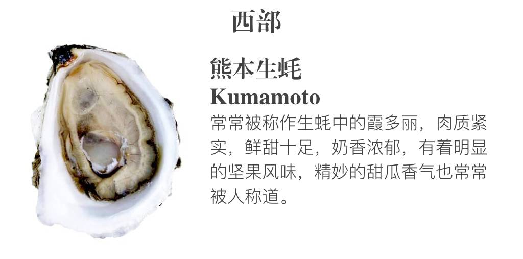 贝隆生蚝,贝隆生蚝和吉拉多生蚝哪种好