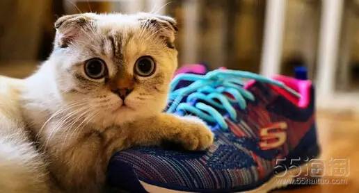 5姐和大家聊聊那些海淘适合入的宝宝鞋子~