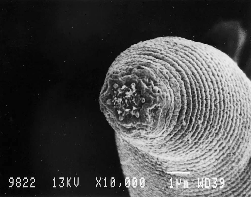 地球上最深的地方在地图上,地球上最深的地方深多少