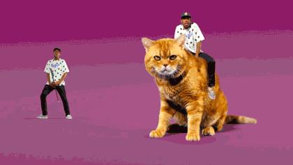 2020年匡威最值得入手的潮鞋,匡威十大好看的鞋款