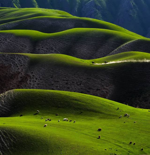 对不起，我去草原了，别再找我了……