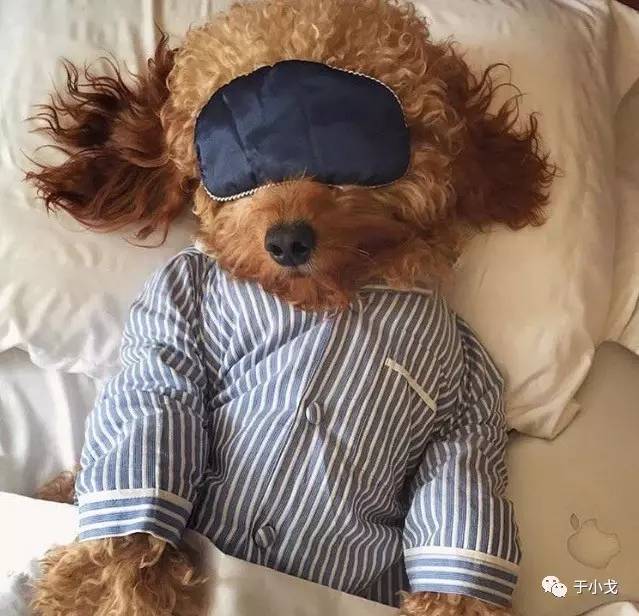 哪怕只出门一天，我也要背上整个梳妆台！（不带不安心急救篇）