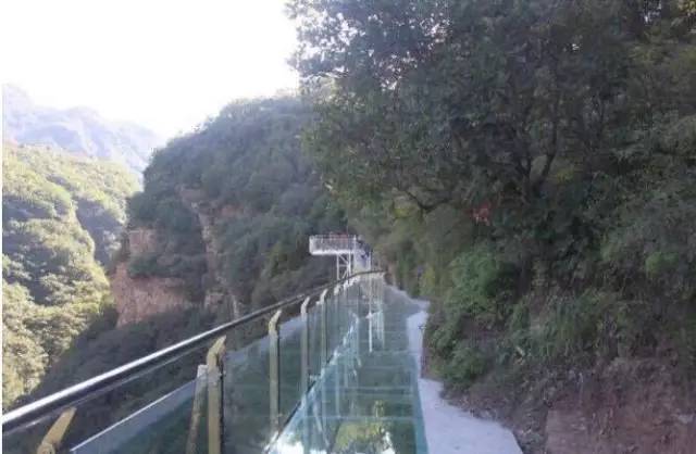 万亩森林玻璃桥,万亩荷花园玻璃栈道