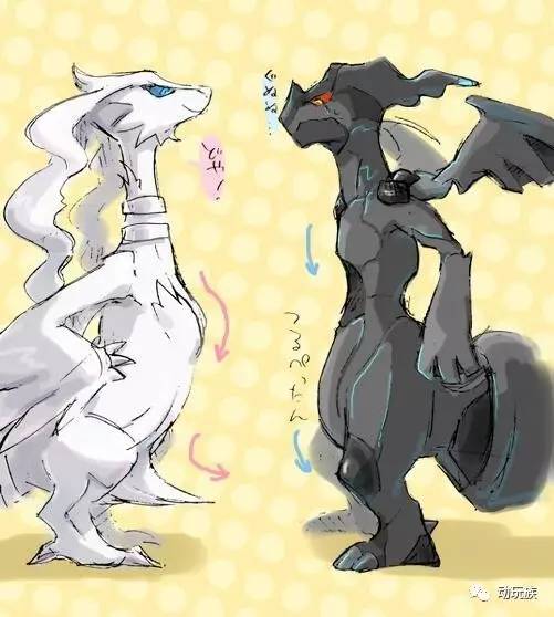 精灵宝可梦图鉴721只精灵,精灵宝可梦图鉴297