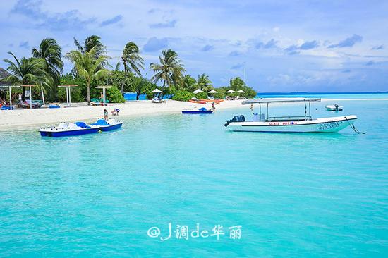 能吃遍全国美食的大学,吃遍全世界美食能去吗