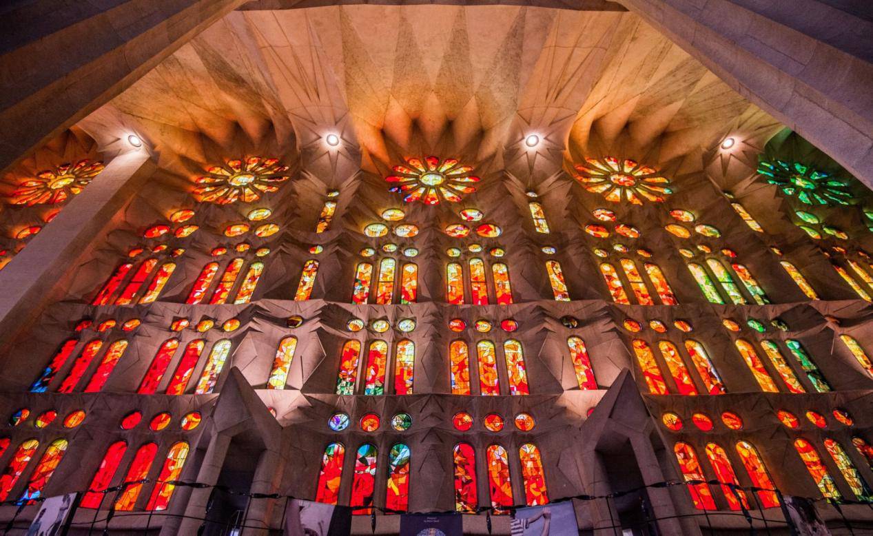 还未看过的世界,没看过世界杯怎么看