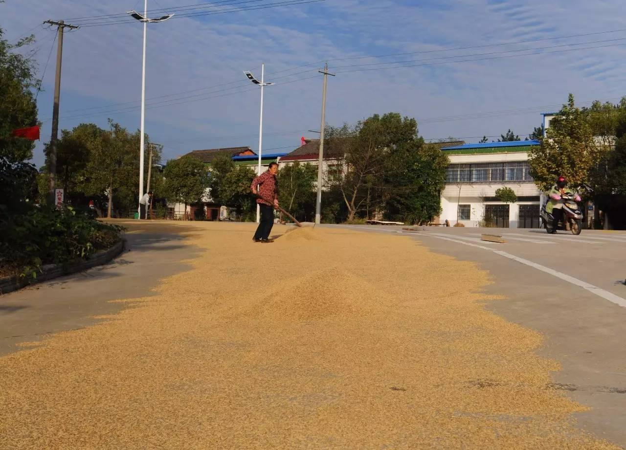 关键时刻——摩行意外发生时的自救举措