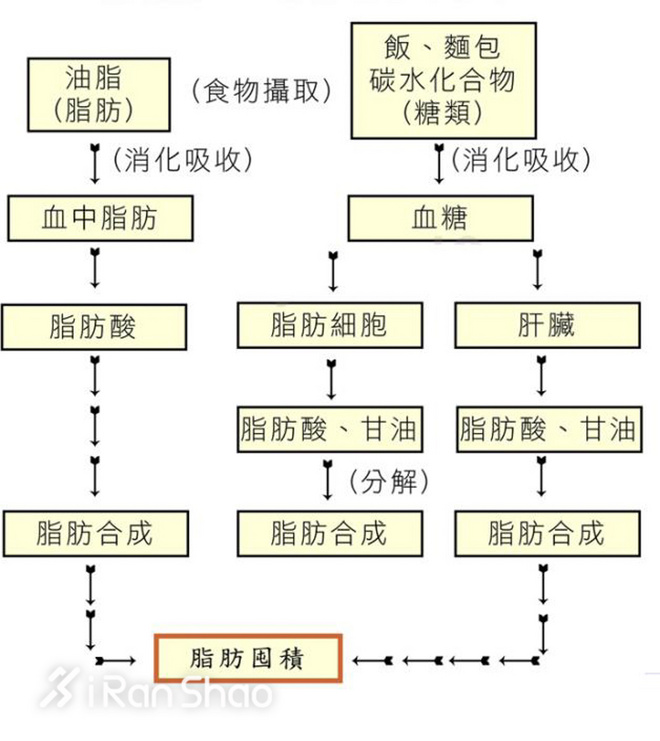 零度可乐的缺点,零度可乐多少度