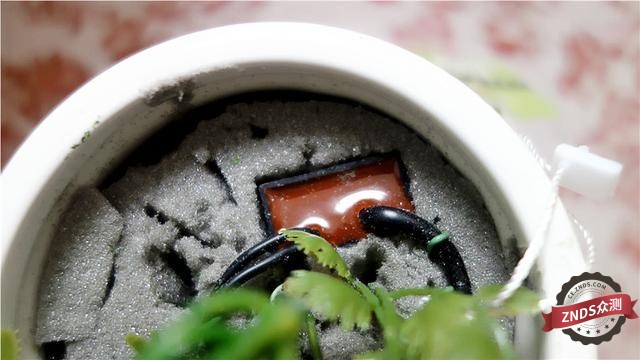 灿若夏花，静如秋叶——优山美地负离子仿真花空气净化器测评