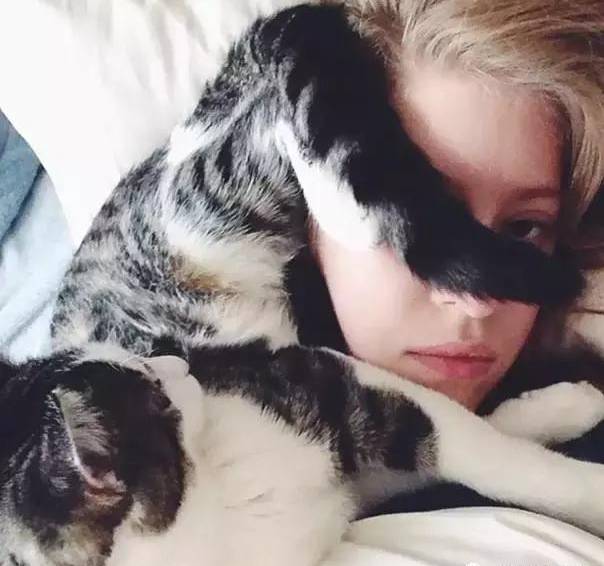 自从养了狗就没有了朋友,自从养了狗就没有朋友