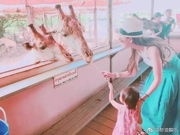 娱闻｜《心理罪》票房破纪录！倪妮秒删？泰国偶遇周杰伦昆凌？王俊凯-鹿晗-郑爽-任嘉伦-陈伟霆-蒋欣