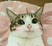 地下城与勇士刚升满级后要干嘛,地下城与勇士满级后该怎么玩