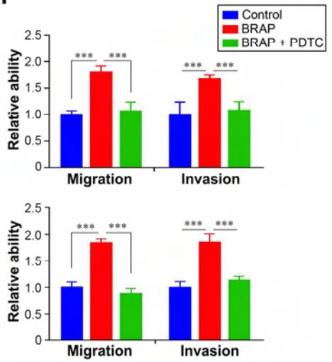 顶级期刊发文！中国科学家在食管癌领域取得重大突破，“搞定食管癌，还是得靠我们中国自己的科学家”｜科学大发现