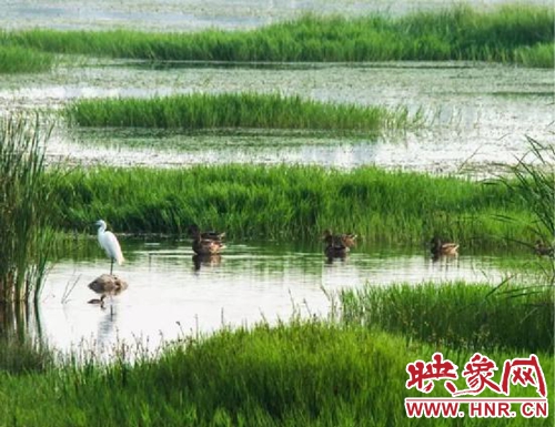 汝州市加快城建步伐提升城市品质,汝州市老城改造规划