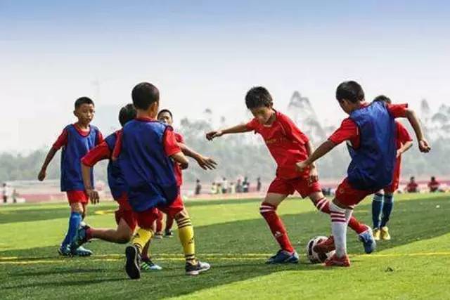 体育培训融资,盘点上市的体育培训机构