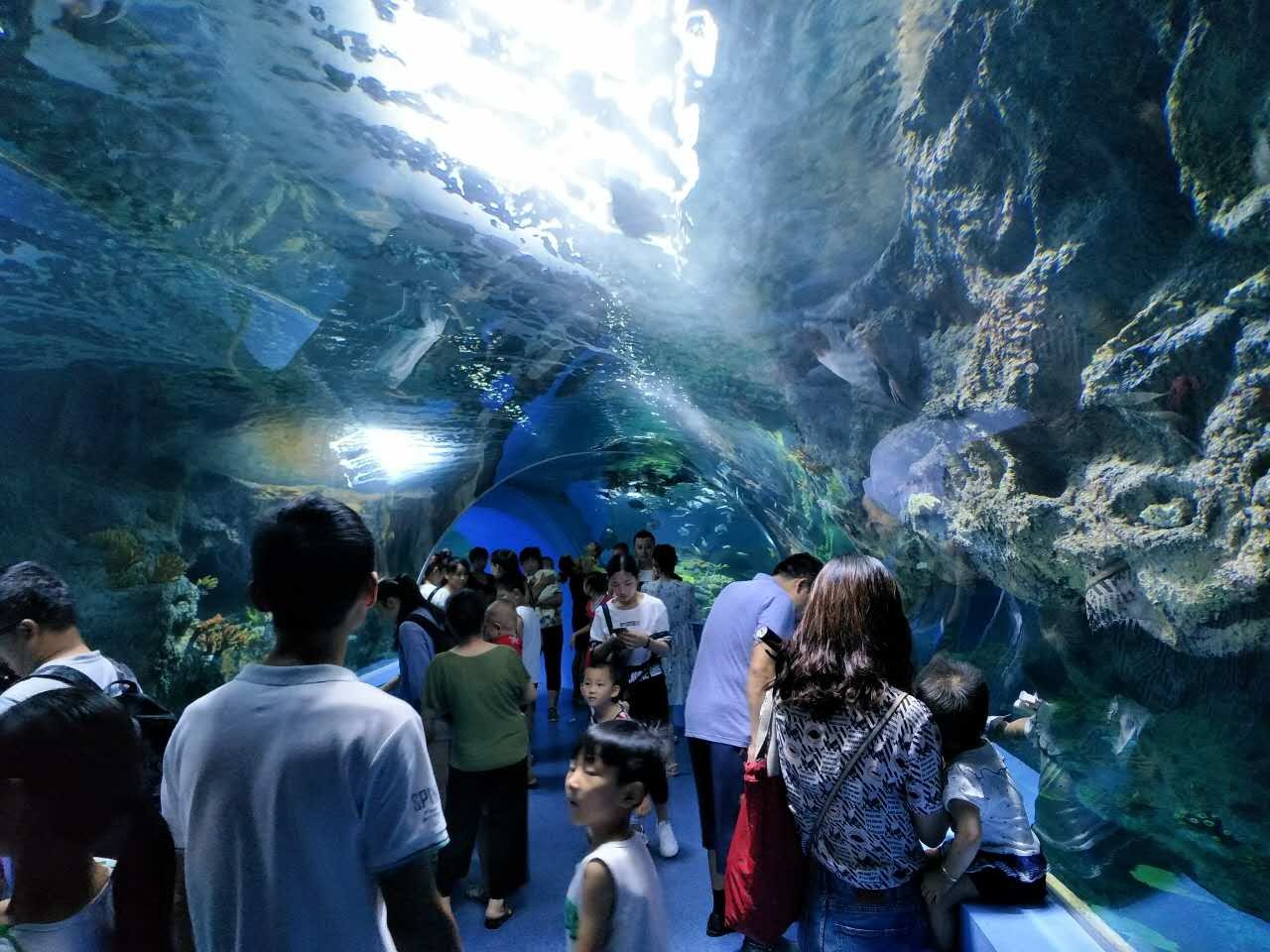 聊城市海底世界,聊城海底世界真实视频