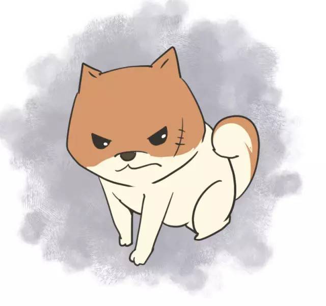 我家博美犬长得怎么样,博美犬8岁是老狗吗