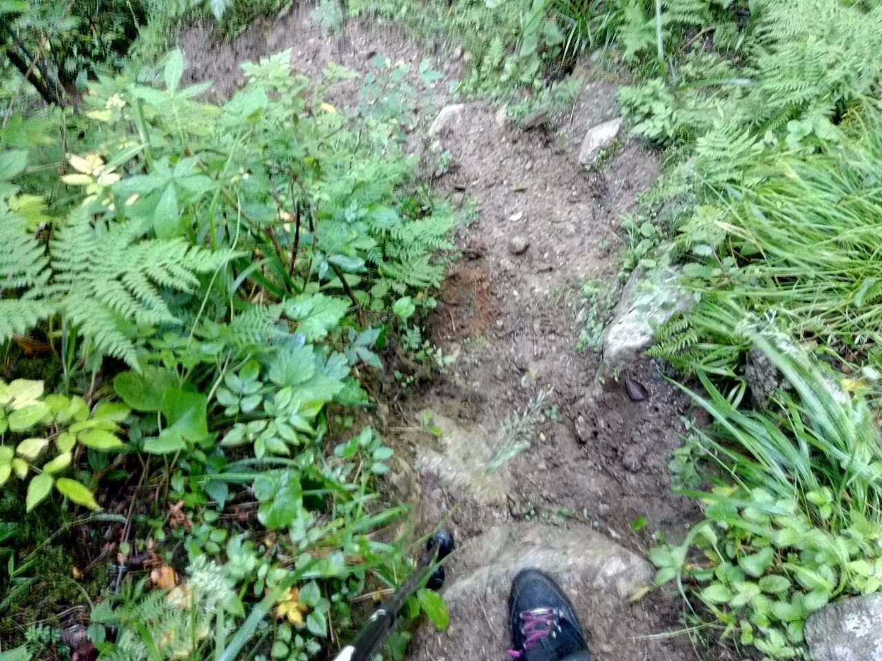 户外小白成长记,户外小白进阶课