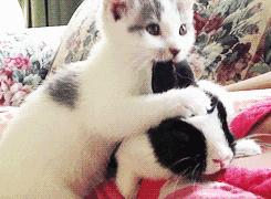 15款热门防脱洗发水测评,公认最好的三款无硅油洗发水