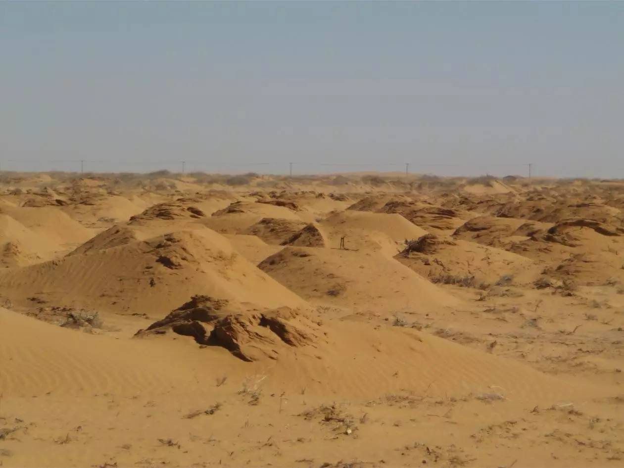 圣牧有机奶治沙,圣牧高科奶业公司