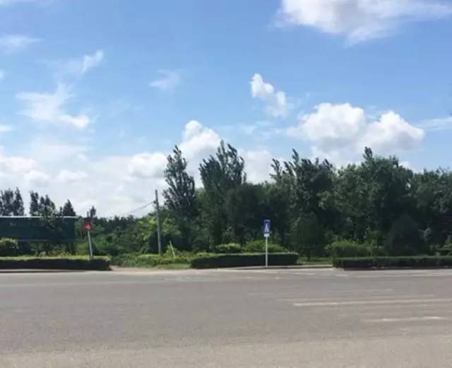 啄木鸟行动消灭错别字,朝阳市建平县啄木鸟行动