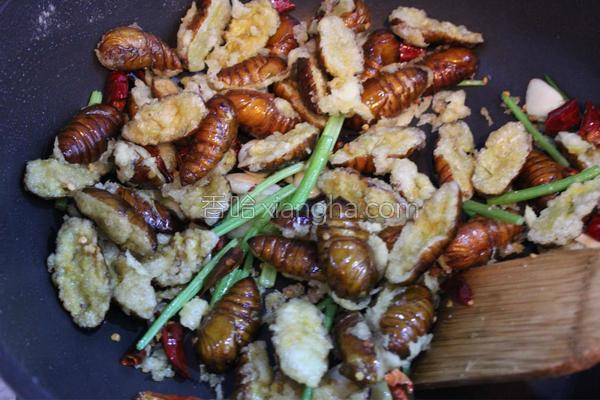 干煸蚕蛹香辣酥,干煸蚕蛹的正确方法