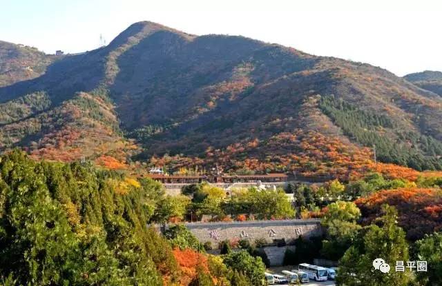 昌平约会,昌平有哪些情侣适合去的地方