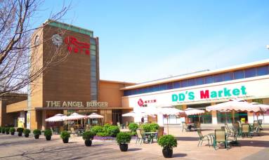 恒大丽宫5000平楼王,恒大丽宫仿古别墅