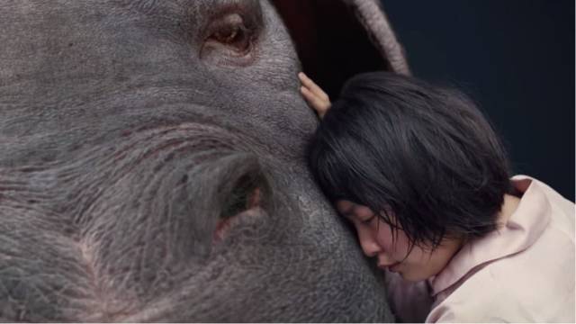 玉子深度解析,玉子讲了什么