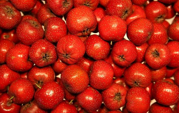 处暑养生请牢记这三条秘诀,明日处暑养生知识