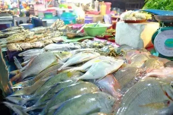 原创｜烟台一年最嗨的日子来了！即将开海，这些图却火了