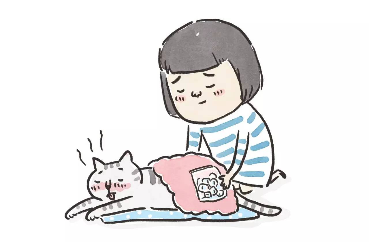 救命啊!主子溺水、触电、中毒了怎么办?!丨强档