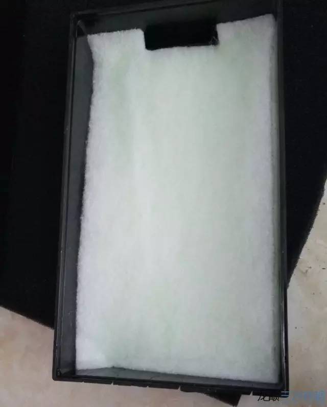 从零开始原生缸,从零开始造景缸