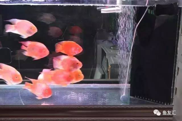 沉淀自己好处,沉淀自己的好处