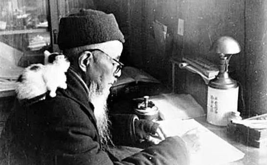 豆瓣日记:世界是属于猫的?10本猫书里的猫咪故事|精选書单