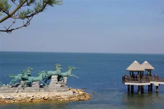 原创｜烟台一年最嗨的日子来了！即将开海，这些图却火了