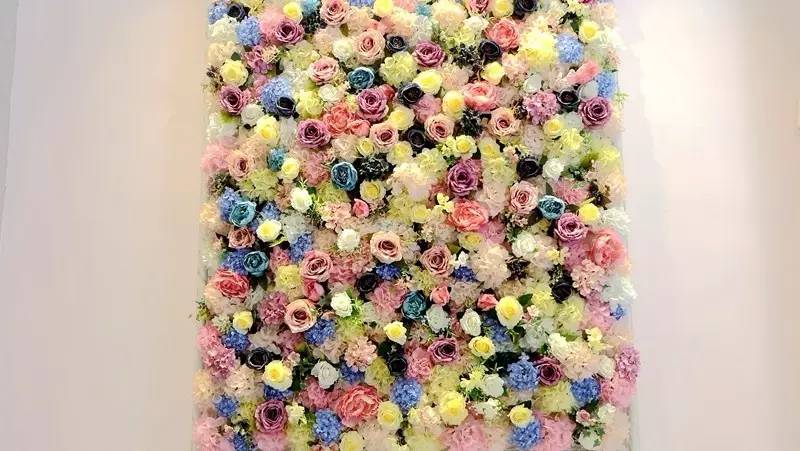 高圆圆用的美容仪,高圆圆王丽坤